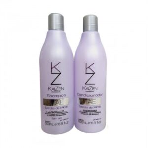 Kit Kaizen Vitae Extrato de Mirtilo 2x500ml