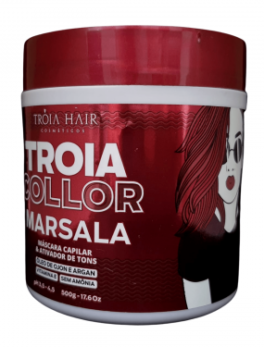 Máscara Tonalizante Power Collor Marsala Troia Hair 500gr